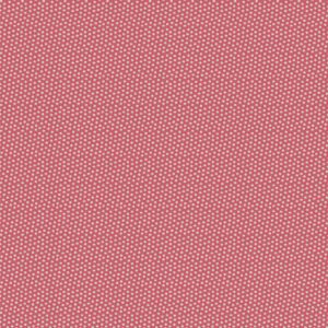 Raspberry - Joani - Holbrook -1540R
