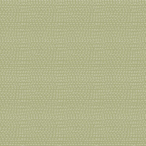 Green - Stripes - Slow and Steady - DV7438
