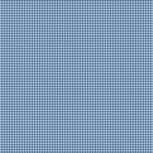 Blue - Gingham - Petite Fleur - 188B