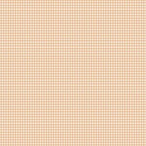 Coral - Gingham - Little Ones - 188C