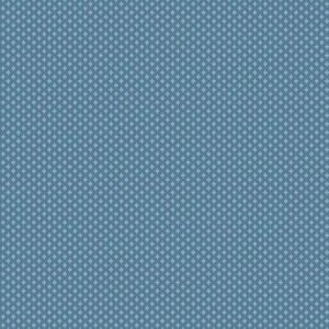 Demin - Apron - Special Delivery - A-10477-B
