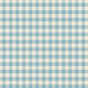 Chambray - Gingham - Special Delivery - A-1673-B