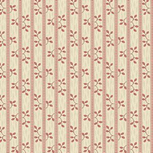 Raspberry - Vines - Forest Glen - 10058E