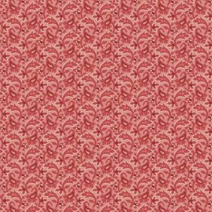 Raspberry - Dewdrops - Forest Glen - 10059R