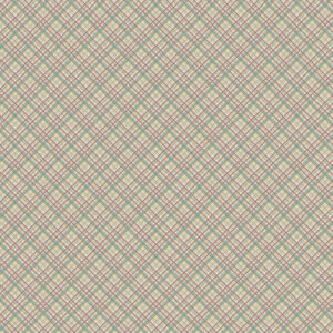Brown / Red - Check - Appleby Farm - DV7746
